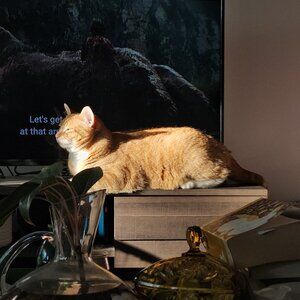 Meet your Posher, Frances